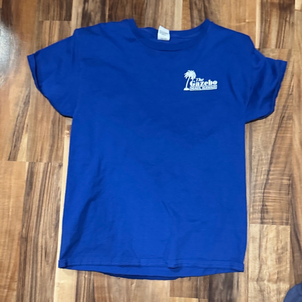 Hanes  Blue Graphic Tee